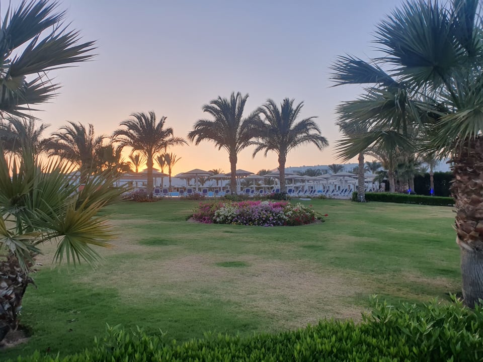 Gartenanlage Fantazia Resort Marsa Alam