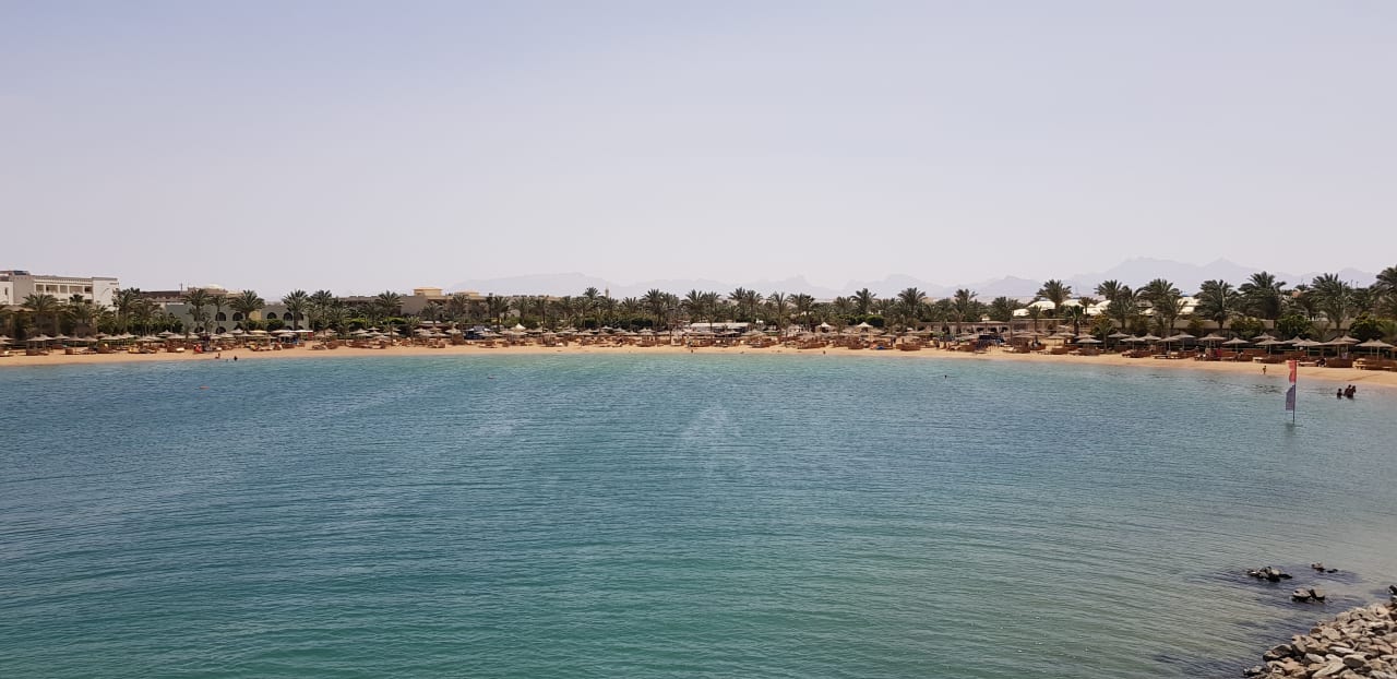 Bild von der Brücke am Strand Desert Rose