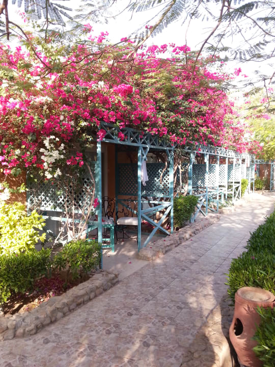 Gartenanlage Giftun Azur Resort