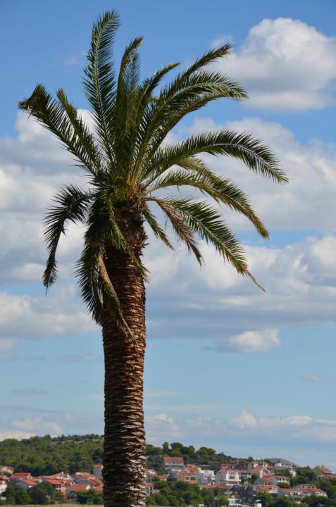 Palme Villas Kornati