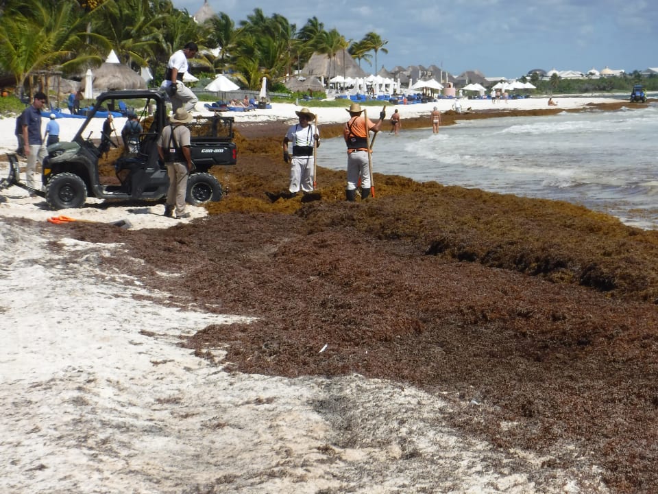 Strand Catalonia Playa Maroma
