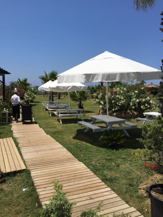 Snackbar Seaden Sea Planet Resort & Spa