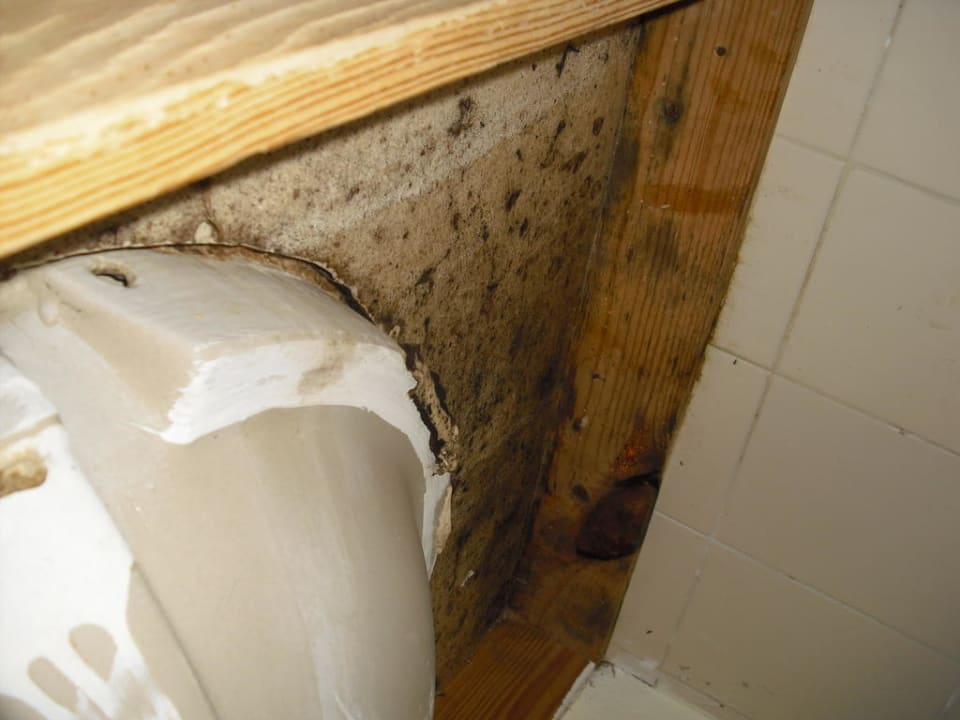 Waschbecken BelleVue Dominican Bay