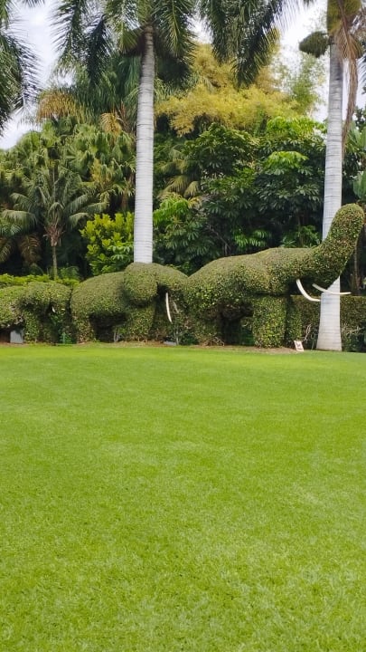 Gartenanlage BLUESEA Costa Jardin Spa