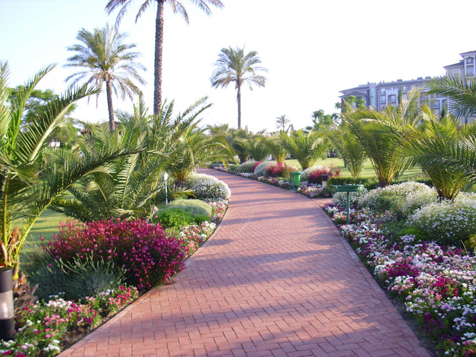 Wunderschöne Vegetation an den Wegrändern Sunis Elita Beach Resort & Spa