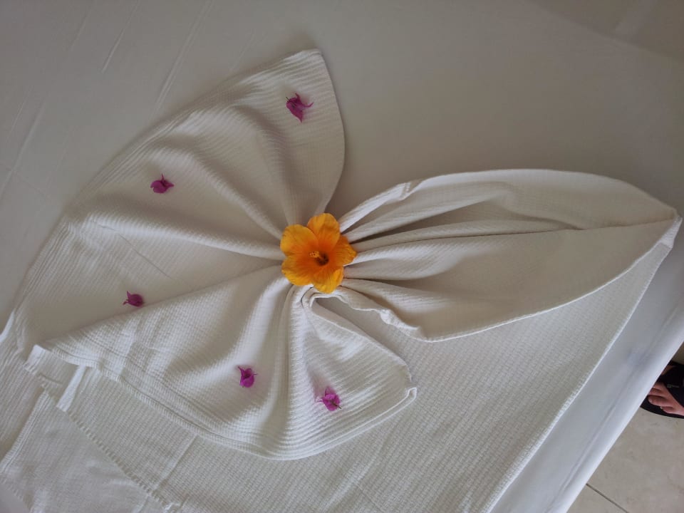 Zimmermädchen Alaiye Resort & Spa