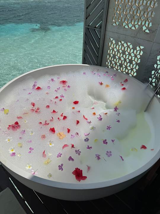 Sonstiges OZEN LIFE MAADHOO