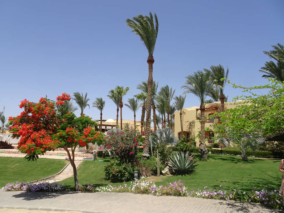 Gartenanlage Steigenberger Coraya Beach - Adults only