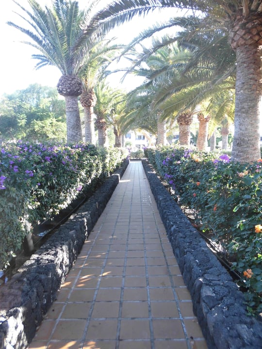 Viale x la piscina 2 Relaxia Olivina