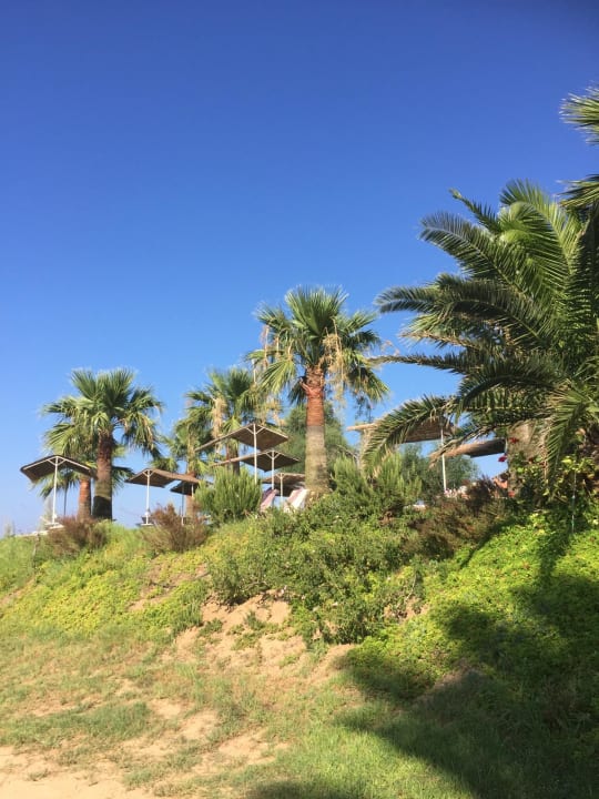 Gartenanlage Crystal Springs Beach Hotel