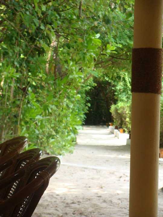 Hotel Biyadhoo Biyadhoo Island Resort