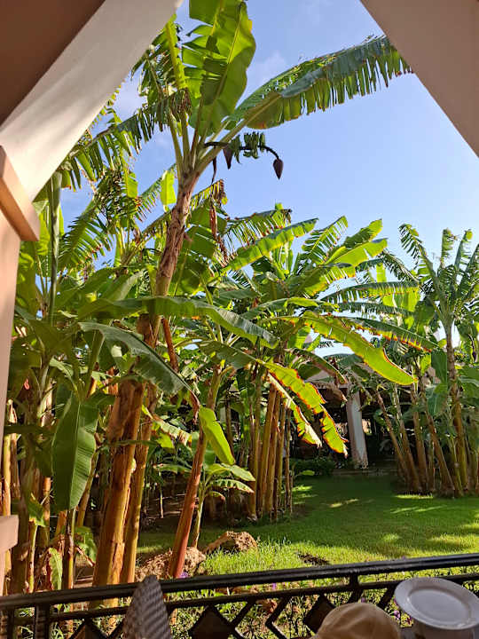 Gastro Hotel Riu Funana