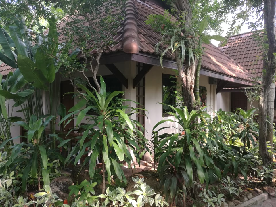 Zimmer Samui Natien Resort