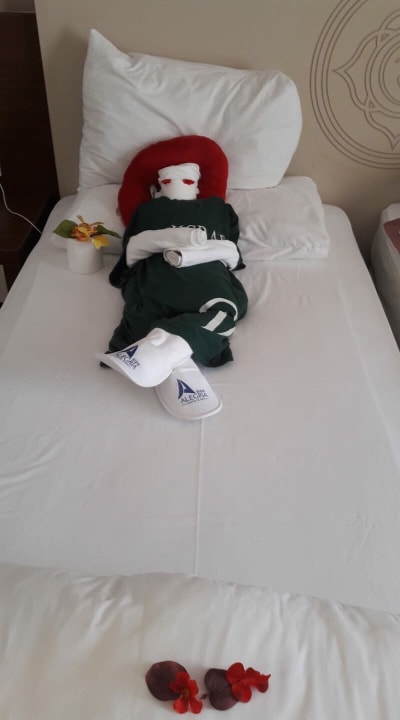 Zimmerdeko Side Alegria Hotel & Spa - Adults only +16