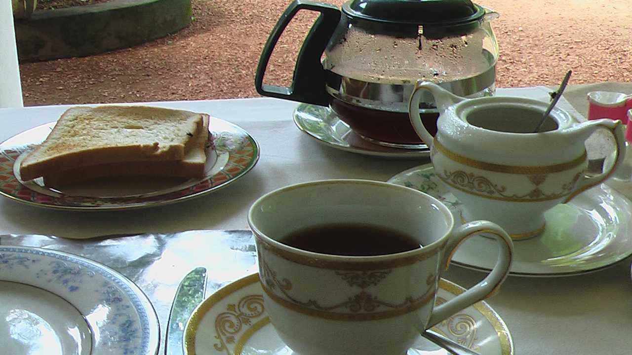 Gastro Sunshine Guesthouse