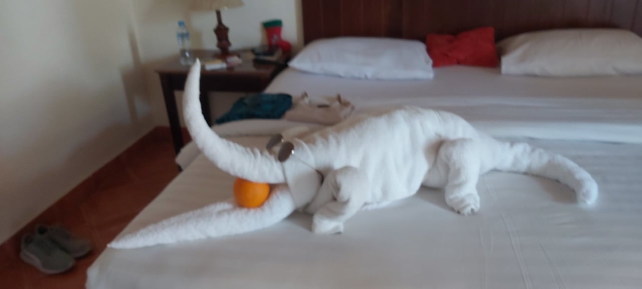 Zimmer Three Corners Sea Beach Resort