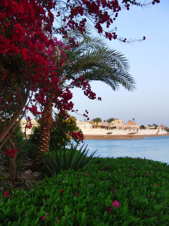 Blumen und Meer Sultan Bey Hotel, El Gouna