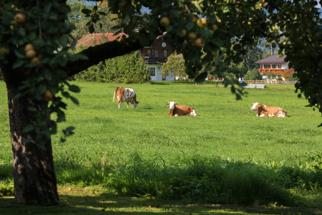 Außenansicht Ferienwohnungen Dankllehen