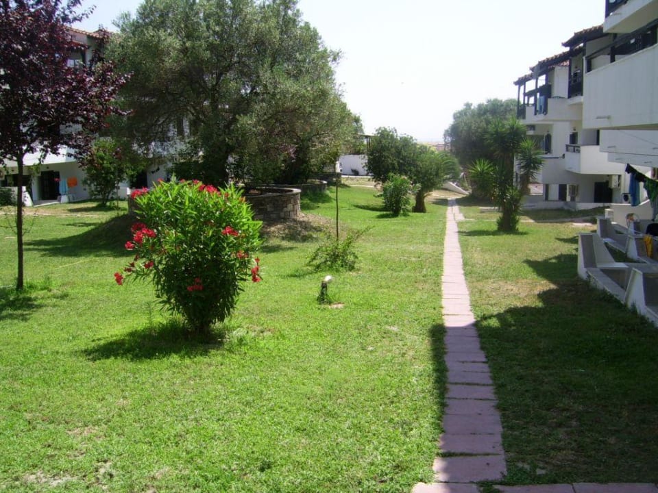 Widok z pokoju Hotel Avra