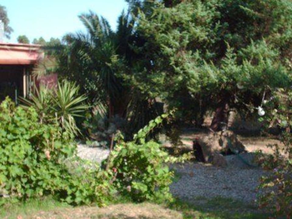 Foto esterno Agriturismo S'Ungroni