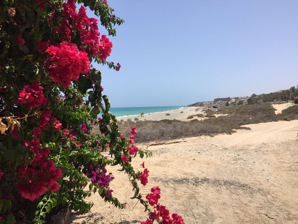 Strand R2 Rio Calma Hotel & Spa & Conference