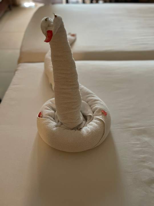 Zimmer Jaz Dar EL Madina