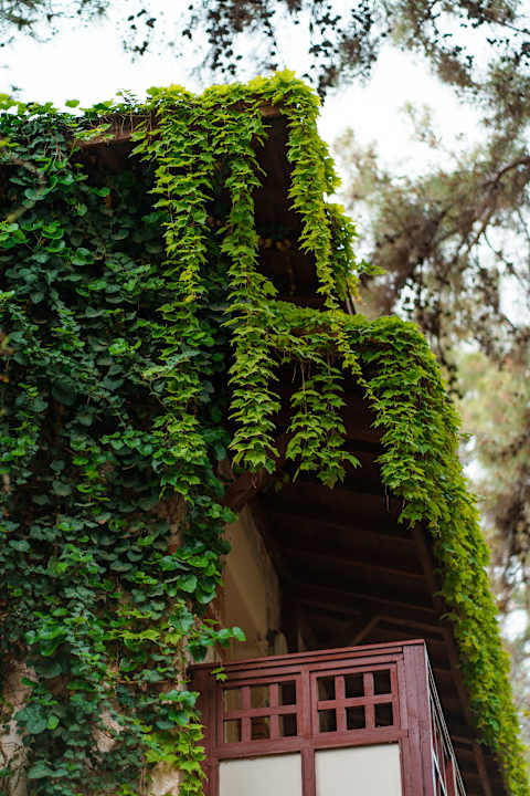 Außenansicht Ulusoy Kemer Holiday Club