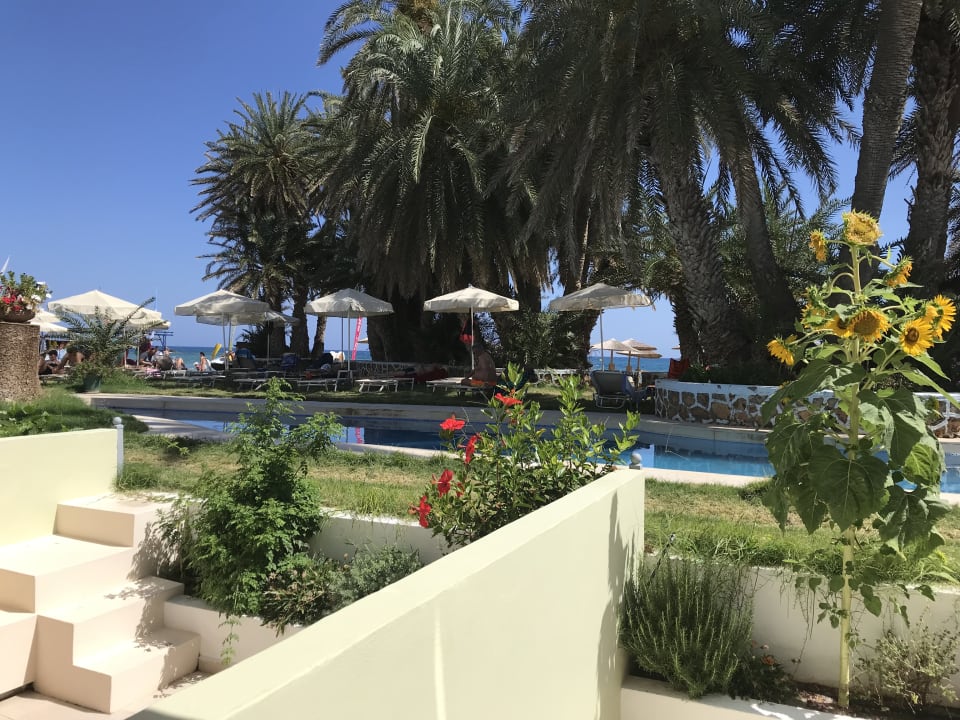 Pool Zeus Hotels Palm Beach