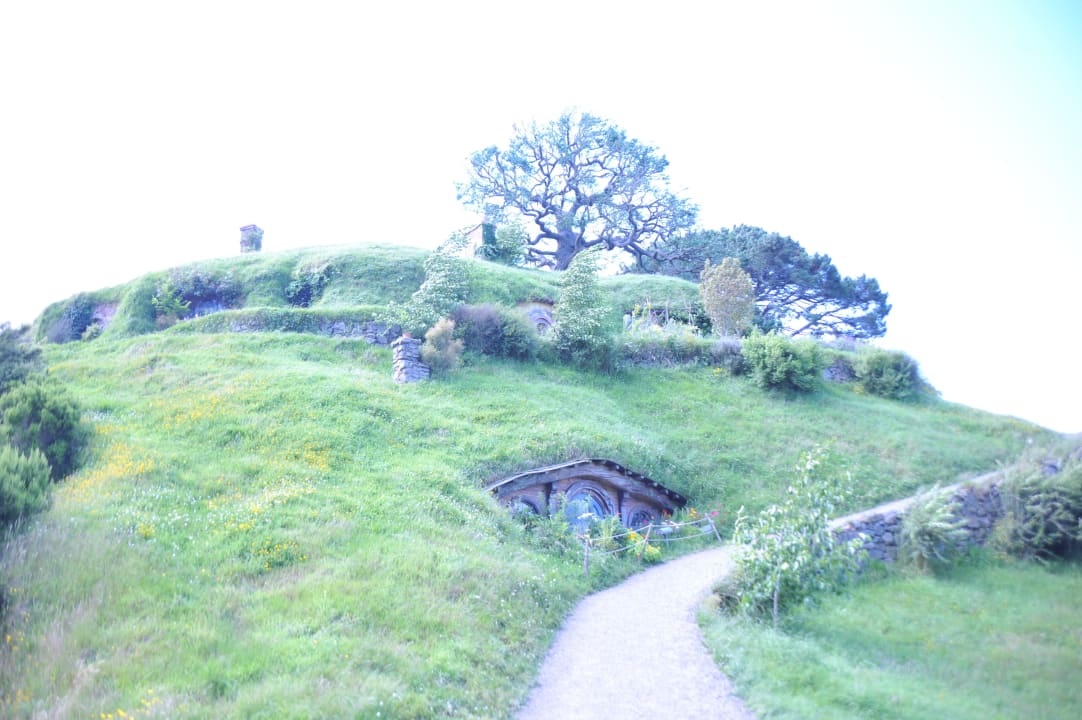 Tagestour nach Hobbiton Scenic Hotel Te Pania Napier