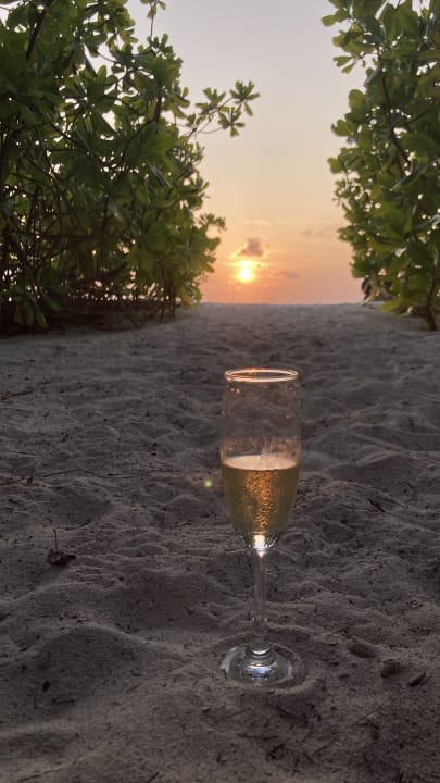 Ausblick Summer Island Maldives