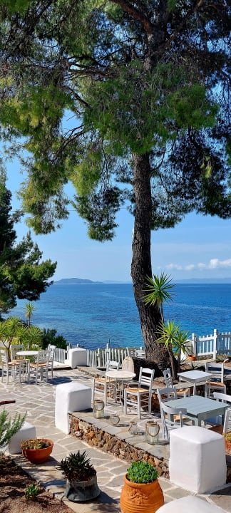 Ausblick Hotel Virginia