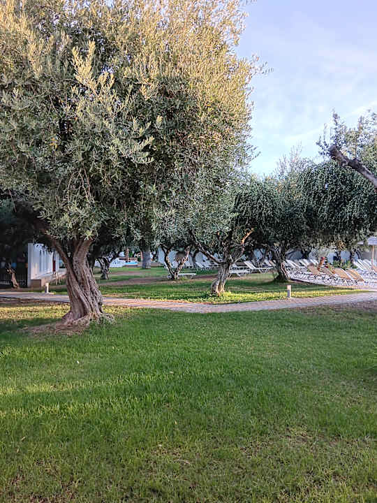 Außenansicht TUI KIDS CLUB Alex Beach