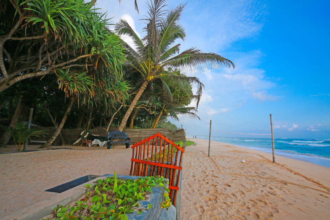 Strand Hotel Haus am Meer Wilde Ananas
