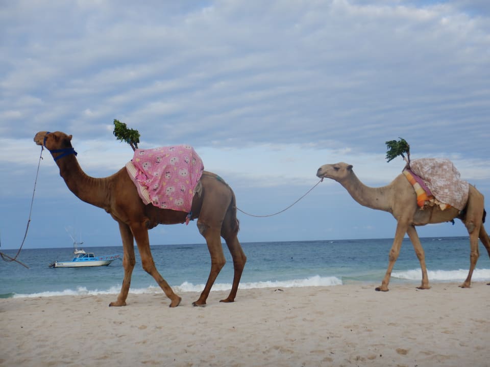 Strand Hotel Southern Palms Beach Resort