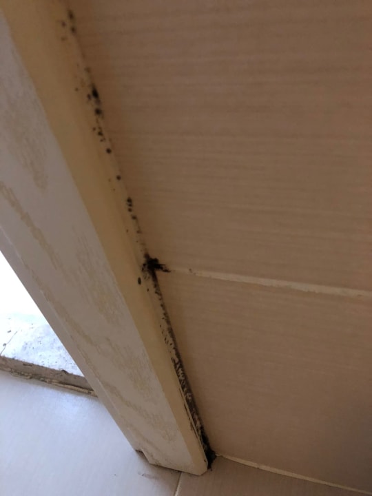 Zimmer Club Resort Atlantis