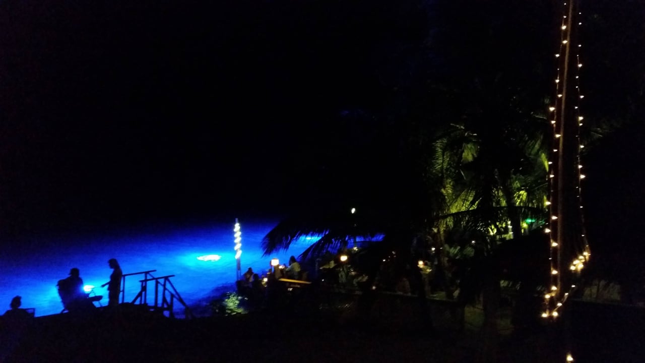 Unser Ausblick Coral Reef Beach Apartments