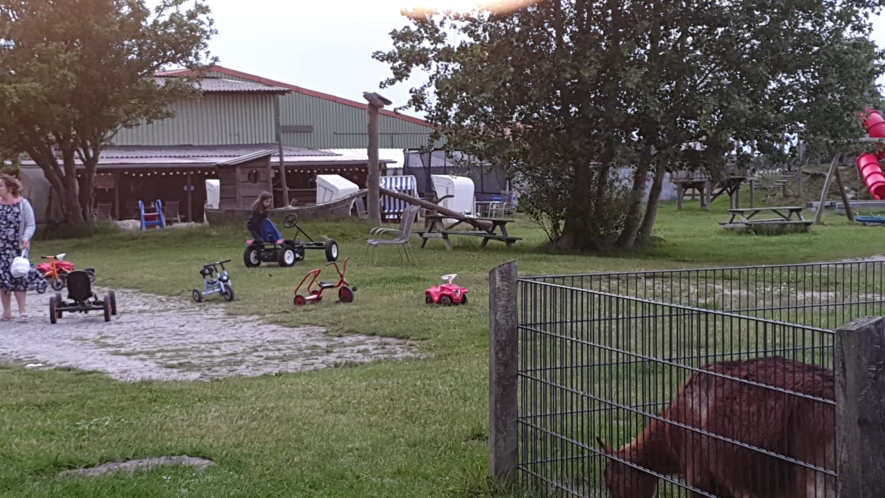 Sport & Freizeit Ferienhof Frieslandstern