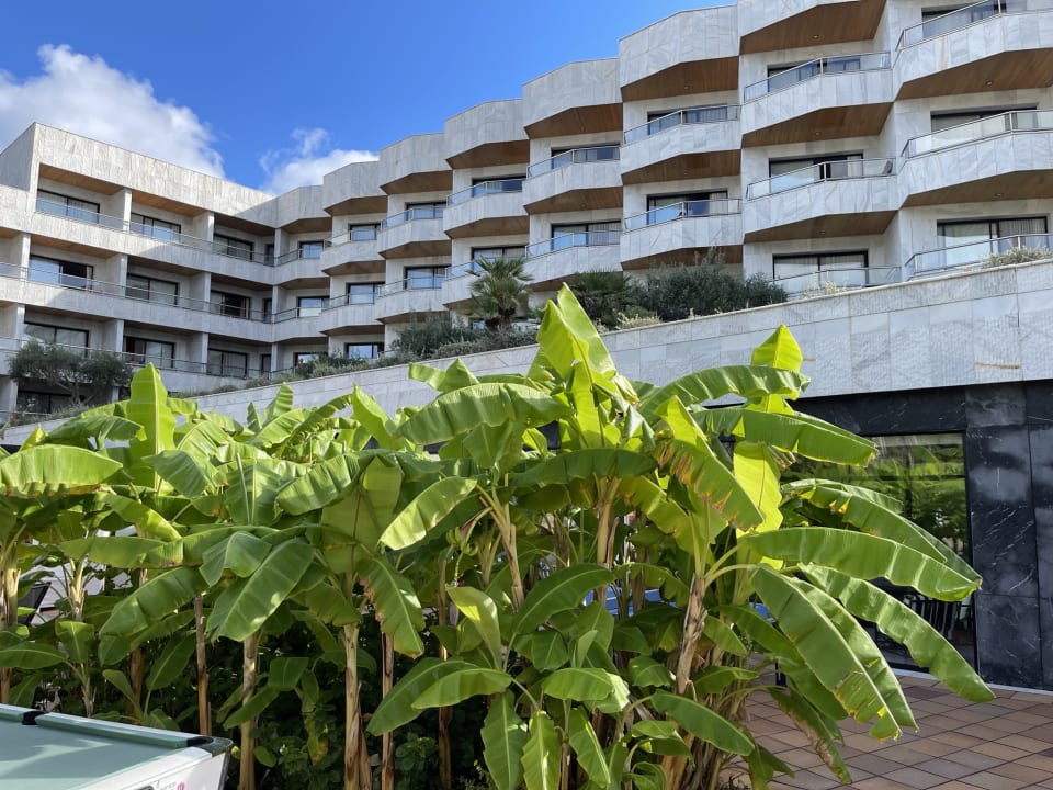 Gartenanlage Hotel Serrano Palace