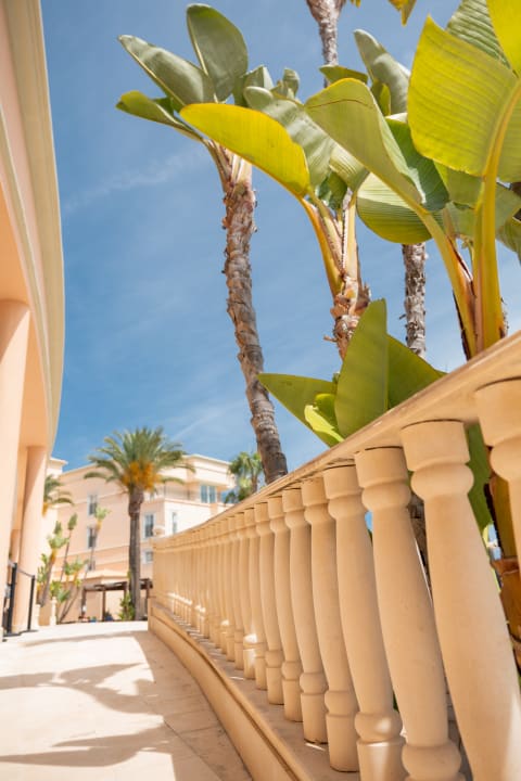 Gastro PortoBay Blue Ocean