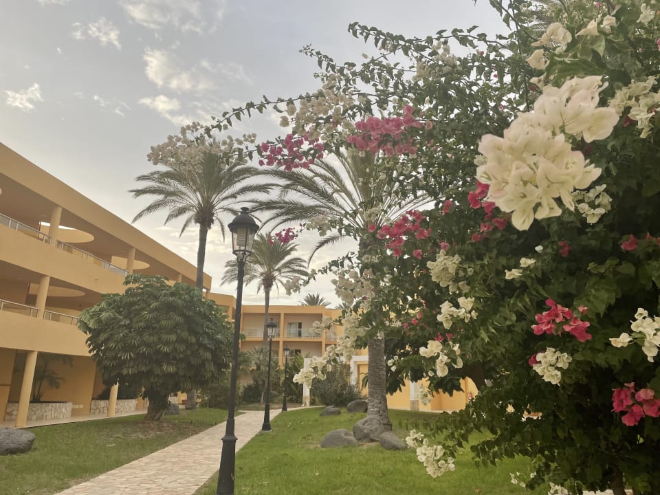 Gartenanlage SBH Costa Calma Beach Resort