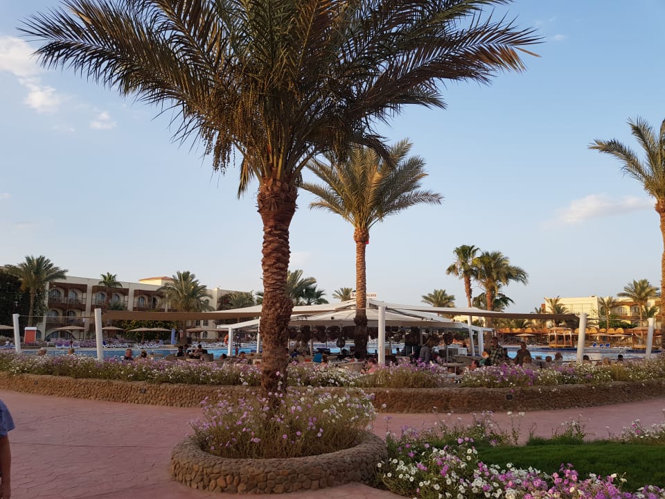 Ausblick vom Zimmer Desert Rose