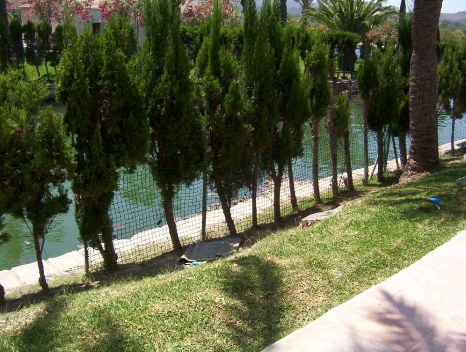 Eden Lago VIVA Eden Lago