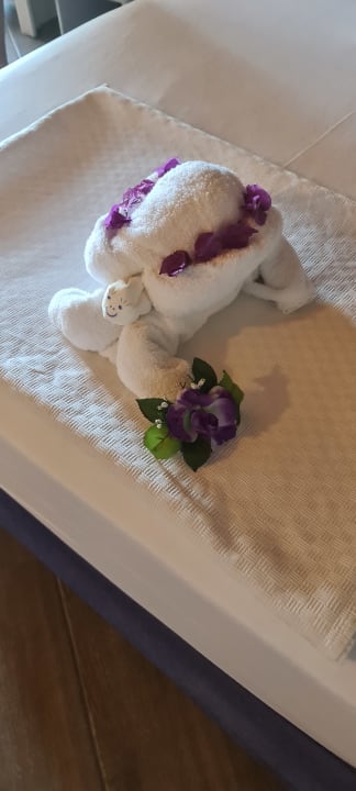 Zimmer Club Turtas Beach Hotel