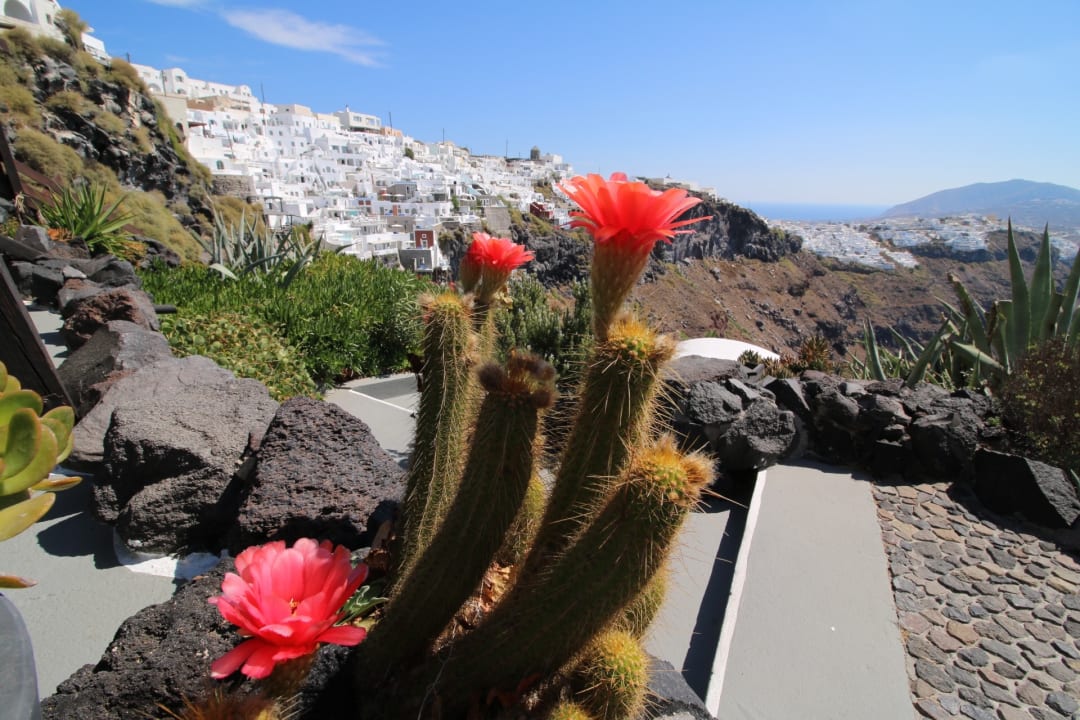 Gartenanlage Honeymoon Petra Villas