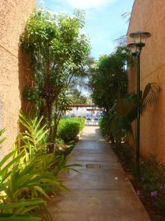 Wege im Hotel Hotel Costa Caribe Beach