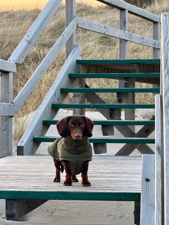 Strand Hotel Strand am Königshafen