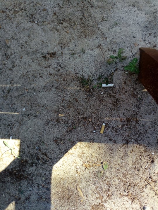 Sonstiges Sirenis Tropical Varadero