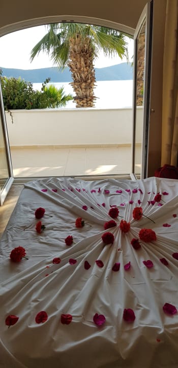 Zimmer TUI MAGIC LIFE Bodrum - Adult Only (16+)