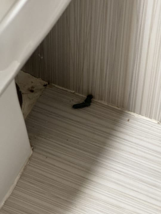 Zimmer Aegean Sea View Bsv