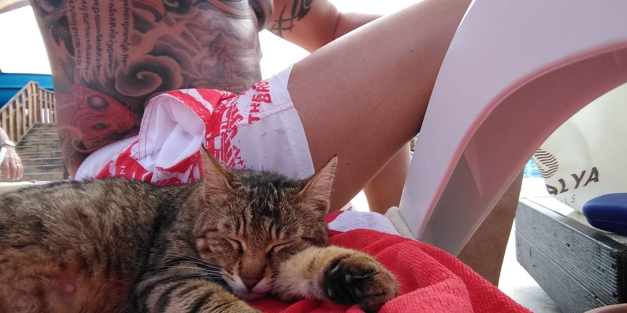 Sonstiges Adalya Resort & Spa - Adults Only